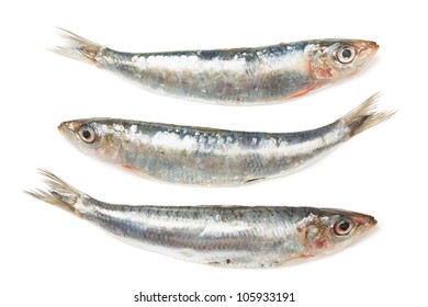 Three Sardine Fish Isolated On White Background