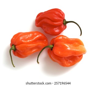 Three Scotch Bonnet Peppers