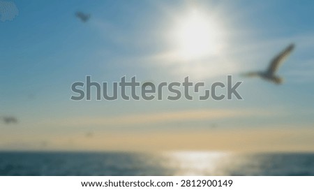 Three seagulls gracefully soar through the sky above the calm ocean waters during a vibrant sunset, with the sun creating a brilliant flare.
