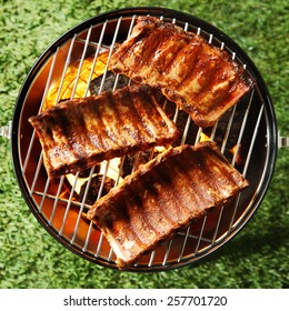 Three Seasoned And Marinated Portions Of Spicy Spare Ribs Grilling On A Fire In A Portable Barbecue Outdoors On Grass, Overhead View