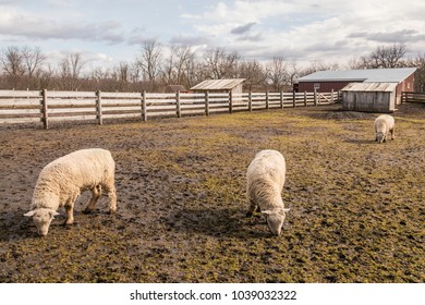 30 Kline creek farm Images, Stock Photos & Vectors | Shutterstock