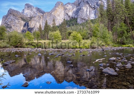The Three Sisters are three separate cliff. The cliffs are popular for rock climbing. The shallow Merced River reflects the mountains. Yosemite National Park. 