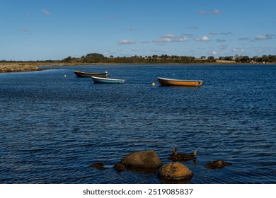 Three small boats are floating on a calm lake. The water is clear and blue, and the sky is bright and sunny. The scene is peaceful and serene, with the boats floating gently on the water - Powered by Shutterstock