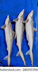 Three small dead sharks displayed on a blue tarp at a traditional fish market.