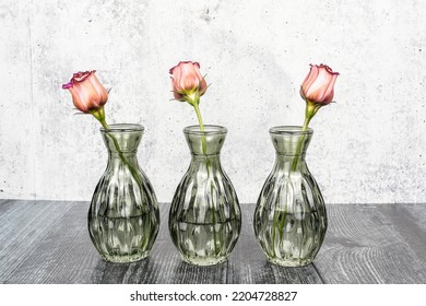 Three Small Green Flower Bud Vases Filled Each With A Single Pink Lisianthus Flower. Gray Background, Black Table. Space For Text.