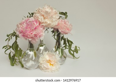 Bouquets Of Flower Stock Photos Images Photography Shutterstock