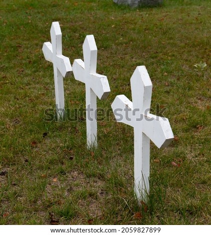 three small white crosses in grave in rural cemetery green brown grass crosses painted white signifying young graves or triplets  old gravesite in rural Ontario pointed ends of small crosses in ground