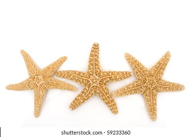 96,976 Starfish isolated Images, Stock Photos & Vectors | Shutterstock
