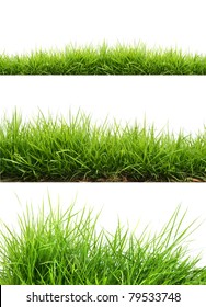 three style fresh spring green grass - Shutterstock ID 79533748