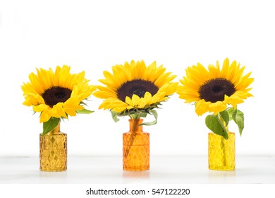 Three Sunflowers In Glass Vases