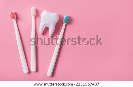 Three toothbrushes next to a big tooth on a pink background. Oral hygiene. Flat lay, top view, banner. Copy space.