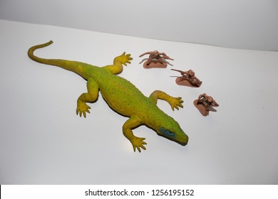 three toy soldiers near a reptile seen from above - Powered by Shutterstock