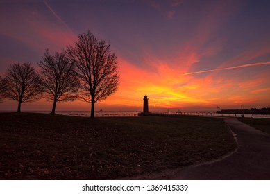 Three trees and a Light house
