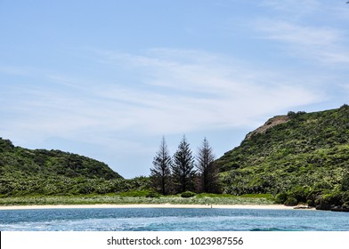 Three Trees At North Bay, Lord Howe Island, New South Wales Australia, November 20, 2016