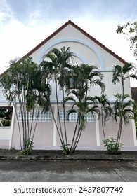 three trees at the side of the house and the road