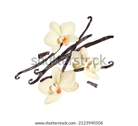 Three vanilla flowers with dried sticks in the air on a white background