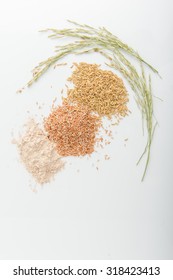 Three variety of rice: wild rice, red rice, and white rice. Shallow DOF