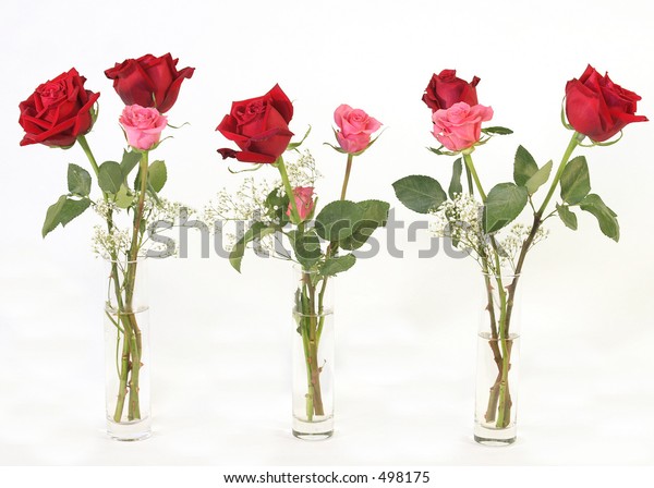 Three Vases Roses Stock Photo Edit Now 498175