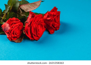 Tres rosas rojas vibrantes