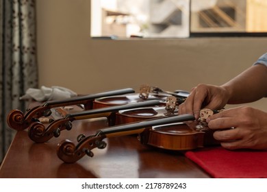 Three Violins Being Fixed In A Musical Instrument Repair Workshop