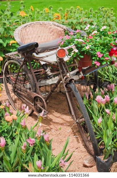 Three\
wheel bicycle Vintage, and decorated with\
flowers.