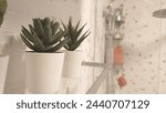 Three white plant pots with cacti and succulents in the bathroom, white tiles on the wall behind it, modern, cozy apartment decor video shot with a Sony A7R IV camera. 