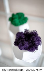 three white pots with colored stabilized moss in the interior. home decor