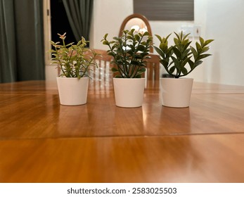Three white pots with different artificial plants 