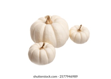 Three white pumpkins of different sizes arranged on a white background. Ideal for autumn, Thanksgiving, Halloween, rustic decor, and seasonal displays