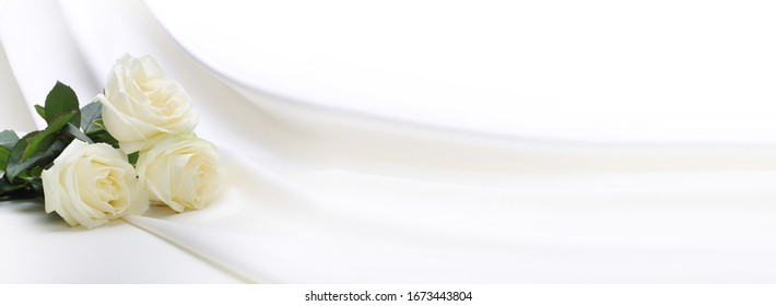 Three White Roses On White Silk. Horizontal Background.