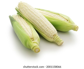 three white sweet corns isolated on white background