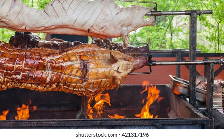 Three whole pigs on a spit on a barbecue