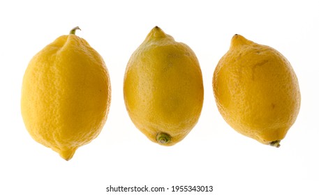 Three whole ripe lemons in a peel like plucked from a tree on a white background in isolation - Shutterstock ID 1955343013