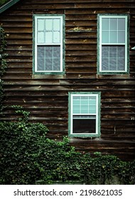 Three Windows On Weathered Wooden Siding House Overgrown By Leaves Of Crawling Plant