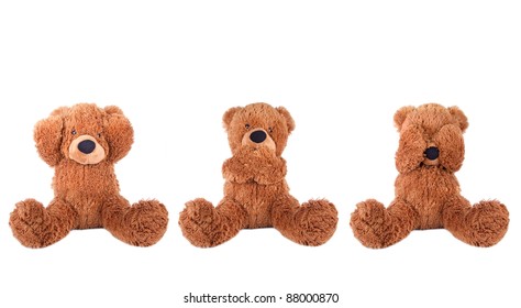 Three wise bear
