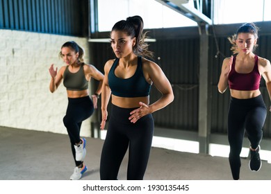 Three women exercising together at the gym with a HITT routine. Beautiful caucasian women doing a high-intensity interval training and running
