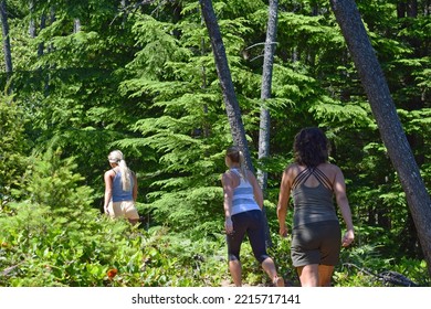 Three Women Hiking In The Forest Trail In Washington On July 4, 2017.