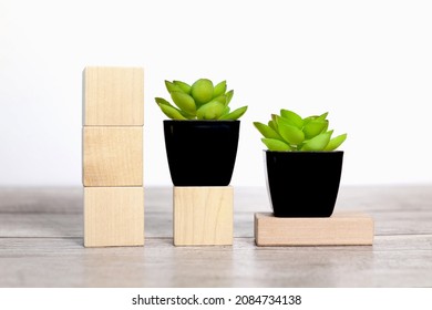 Three Wood Blocks With Place For Text