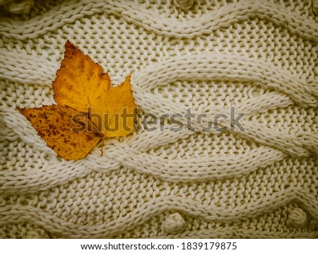 

three yellow leaves on a knitted background

