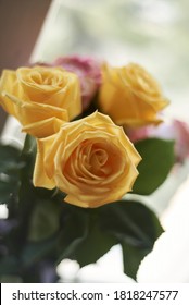 Three Yellow Roses Are In A Vase