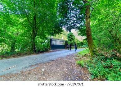 Three Young Women Strolling Down A Narrow Mountain Road With Vegetated Shores In Galicia Mirror In A Typical Atlantic Landscape. Without People