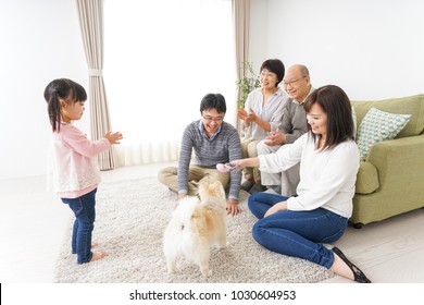 Three-generation Family Playing With Dog