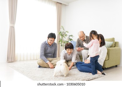 Three-generation Family Playing With Dog