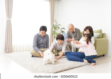 Three-generation Family Playing With Dog