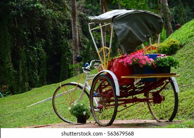 three-wheeler