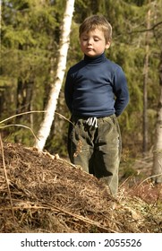 three-year-old boy looking at an ant-hill
