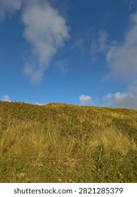 Threshold between earth and sky, reaching the top, unknown beyond the ridge, resilience, overcoming difficulty, new perspective, freedom, inner journey, natural minimalism, windswept landscape, wild vegetation, hope, transition, blue sky copy space

Vertical photo of a sunlit grassy dune rising beneath an expansive blue sky with soft white clouds. Golden wild grasses, dense low vegetation and a few scattered pink flowers create a minimalist natural scene symbolizing resilience, reaching the top, transition and the unknown beyond the ridge.