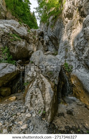 Thrilling ascent through rugged cliffs and cascading waterfalls evokes raw adventure and serene wilderness in Slovenias stunning Triglav National Park