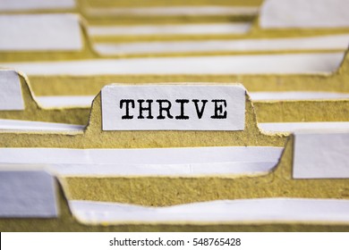 Thrive word on card index paper