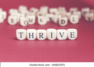 Thrive word written on wood cube with red background